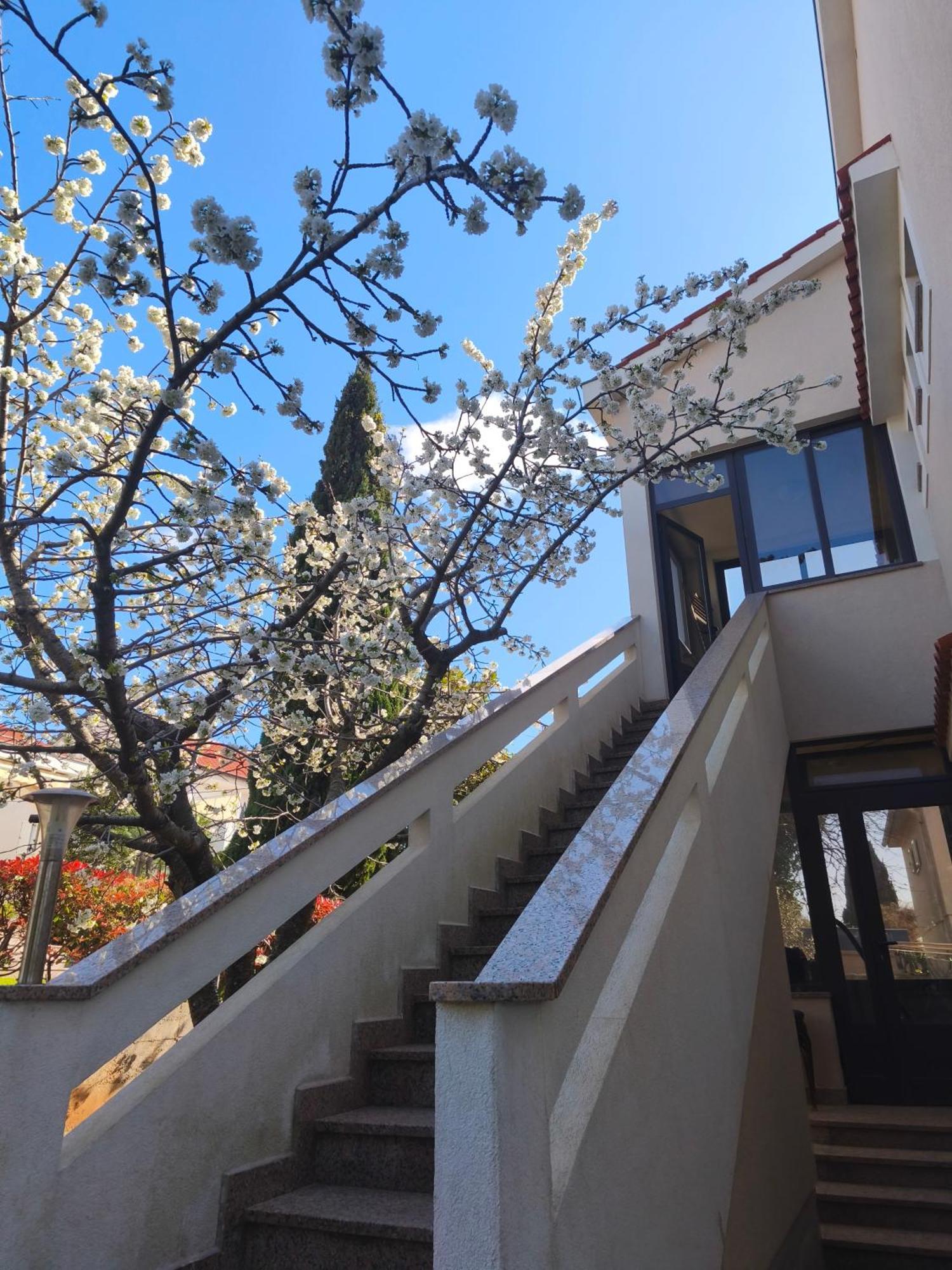 Apartmani Romana Punat Exterior foto
